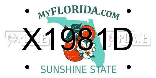 X1981D Florida License Plate