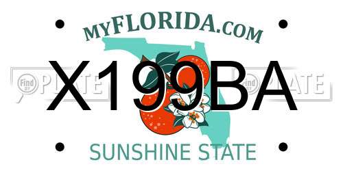 X199BA Florida License Plate