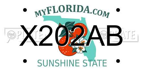 X202AB Florida License Plate