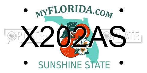 X202AS Florida License Plate