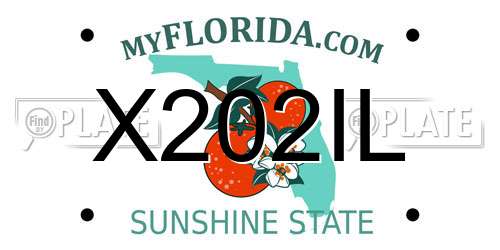 X202IL Florida License Plate