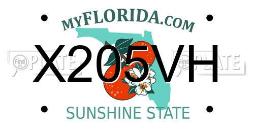 X205VH Florida License Plate