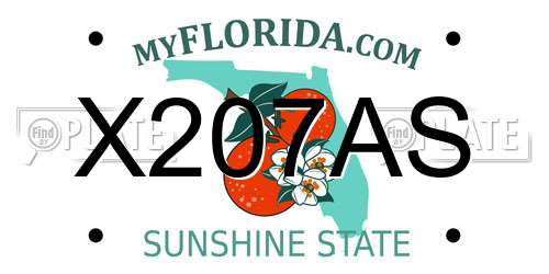 X207AS Florida License Plate