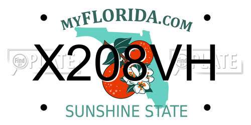 X208VH Florida License Plate