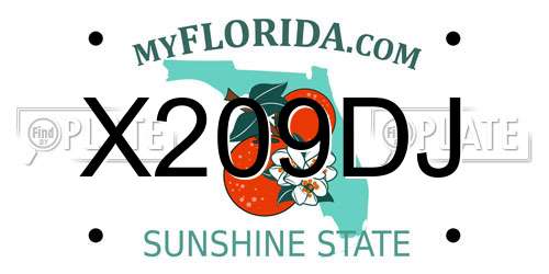 X209DJ Florida License Plate