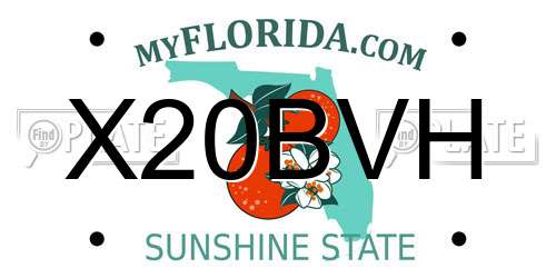 X20BVH Florida License Plate