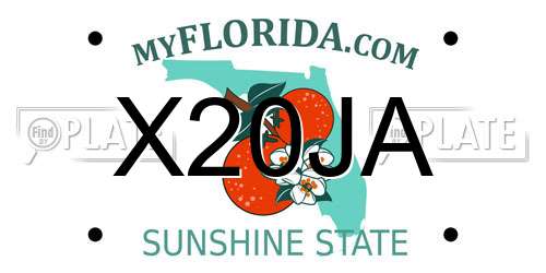 X20JA Florida License Plate