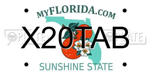 X20TAB Florida License Plate
