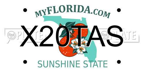 X20TAS Florida License Plate