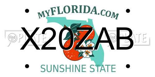 X20ZAB Florida License Plate