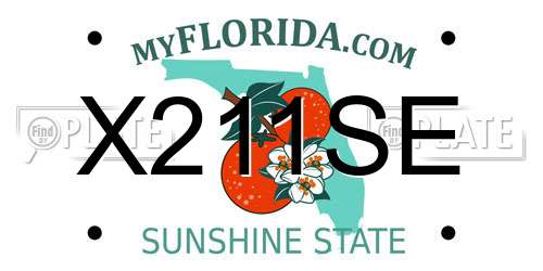 X211SE Florida License Plate