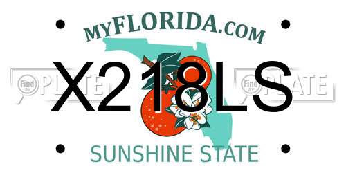 X218LS Florida License Plate
