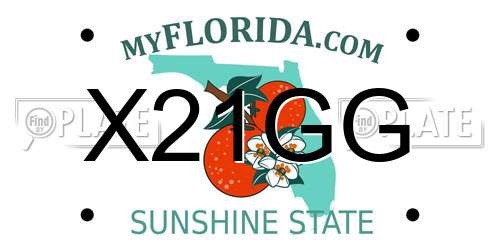 X21GG Florida License Plate