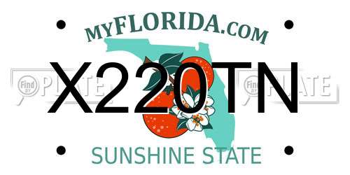 X220TN Florida License Plate