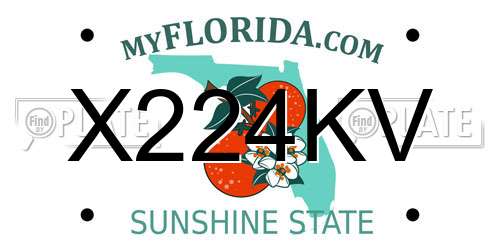X224KV Florida License Plate