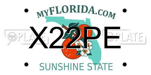 X22PE Florida License Plate