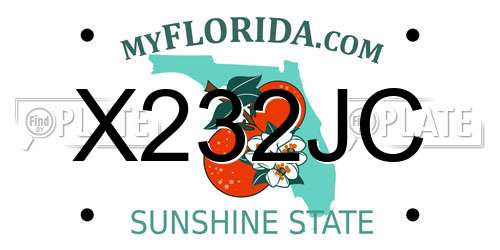 X232JC Florida License Plate