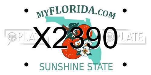 X2390 Florida License Plate
