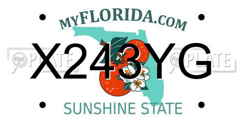 X243YG Florida License Plate