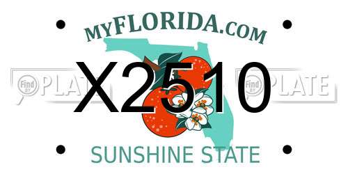X2510 Florida License Plate