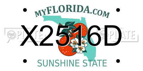 X2516D Florida License Plate