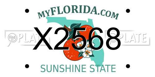 X2568 Florida License Plate