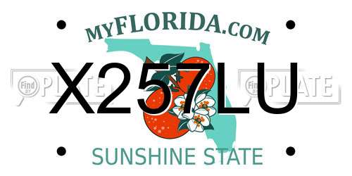 X257LU Florida License Plate