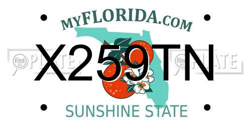 X259TN Florida License Plate