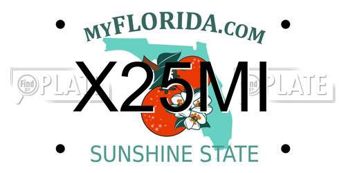 X25MI Florida License Plate