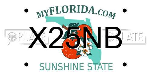 X25NB Florida License Plate