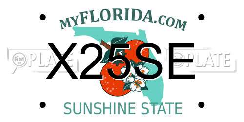 X25SE Florida License Plate