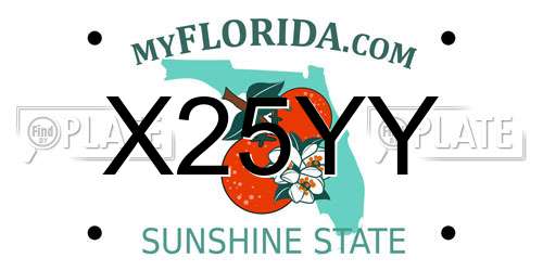X25YY Florida License Plate