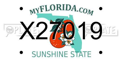 X27019 Florida License Plate