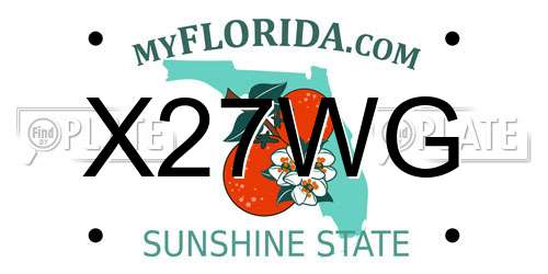 X27WG Florida License Plate