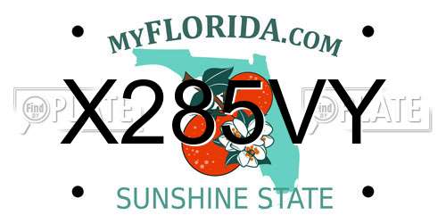 X285VY Florida License Plate