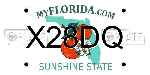 X28DQ Florida License Plate