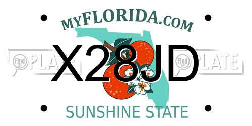 X28JD Florida License Plate