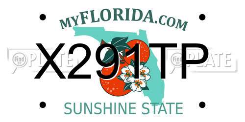 X291TP Florida License Plate
