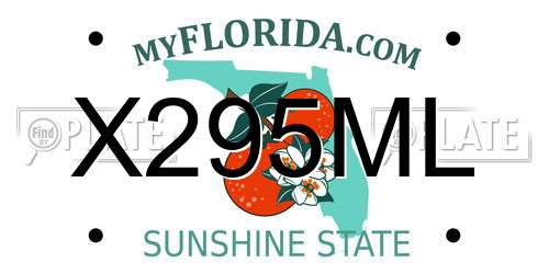 X295ML Florida License Plate