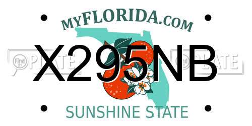 X295NB Florida License Plate