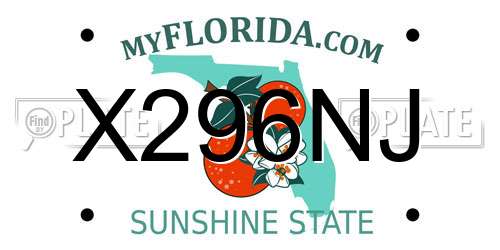 X296NJ Florida License Plate