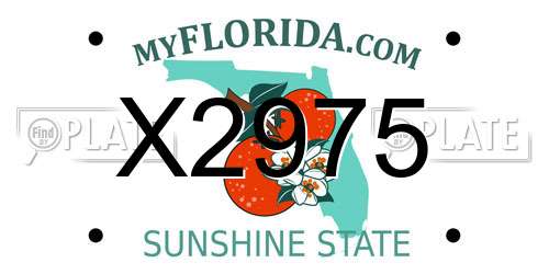 X2975 Florida License Plate