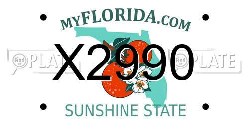 X2990 Florida License Plate