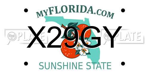 X29GY Florida License Plate