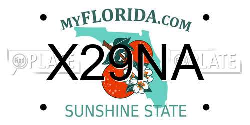 X29NA Florida License Plate