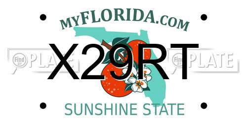 X29RT Florida License Plate