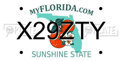 X29ZTY Florida License Plate