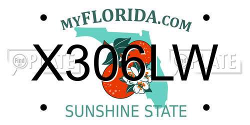 X306LW Florida License Plate