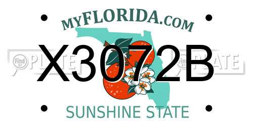 X3072B Florida License Plate