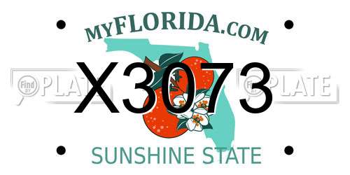X3073 Florida License Plate